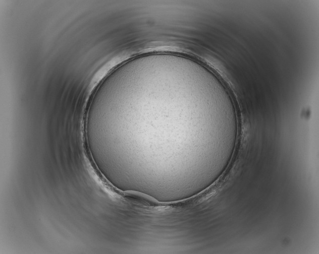 X0000114561282200911091210