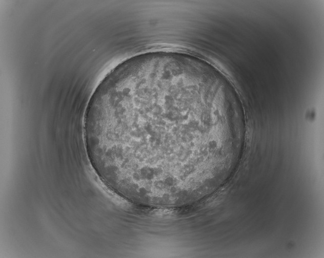 X0000114561283200911091210