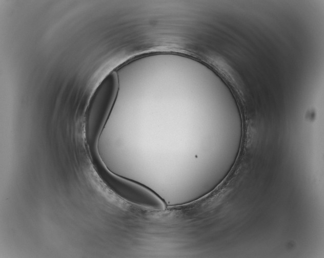 X0000114561284200911091210