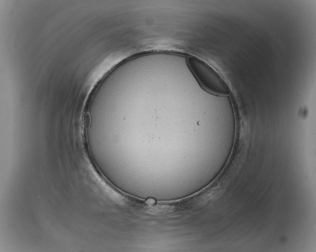 X0000114561285200911091210