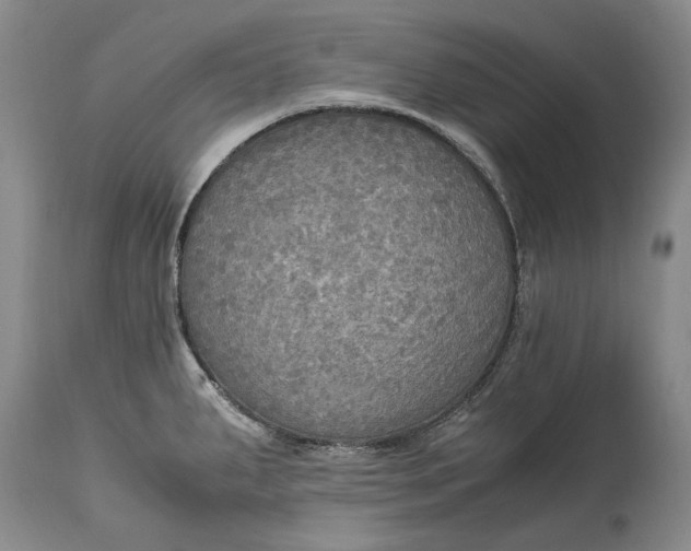 X0000114561287200911091210