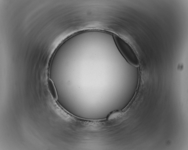 X0000114561288200911091210