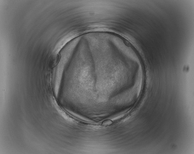 X0000114561289200911091210