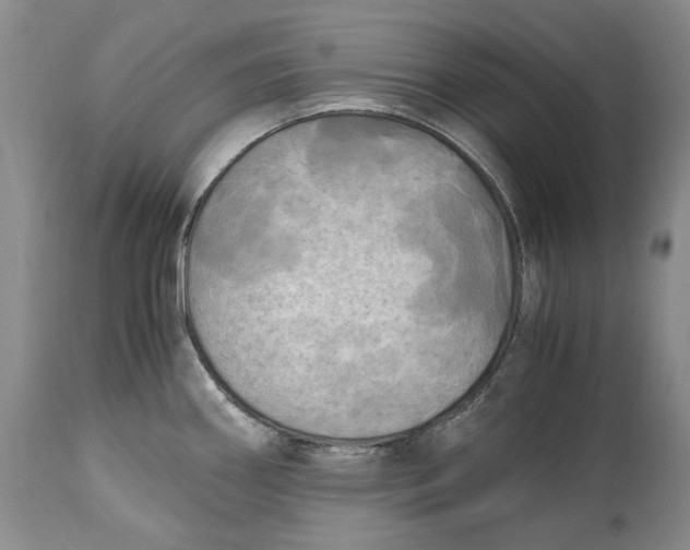 X0000114561290200911091210