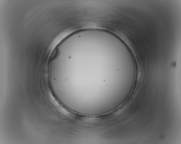 X0000114561293200911091210