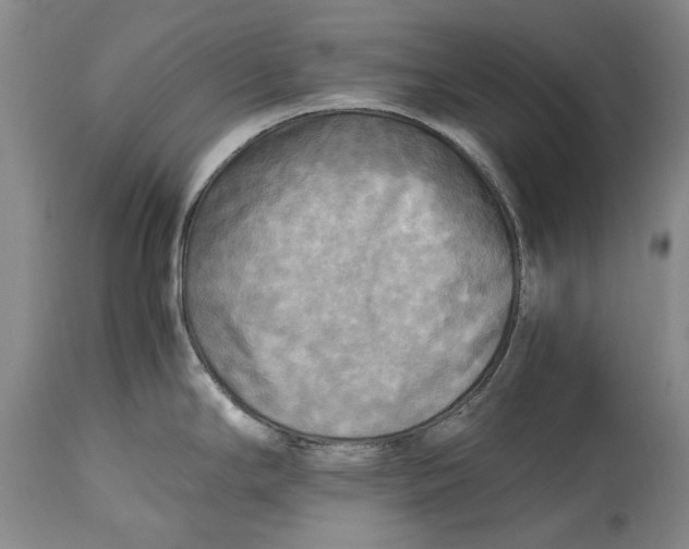 X0000114561294200911091210