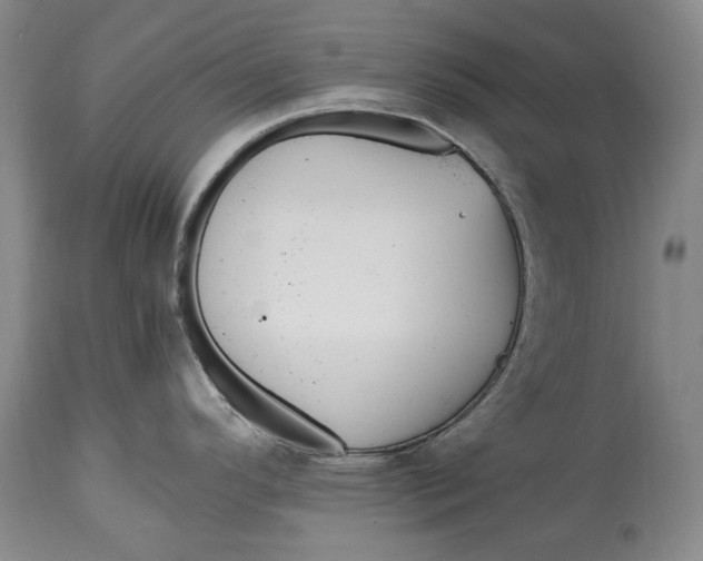 X0000114561296200911091210