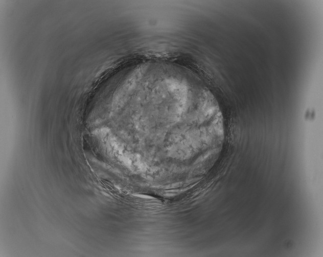 X0000114561297200911091209