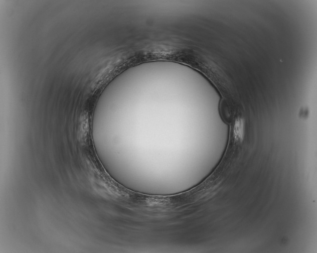 X0000114561299200911091209