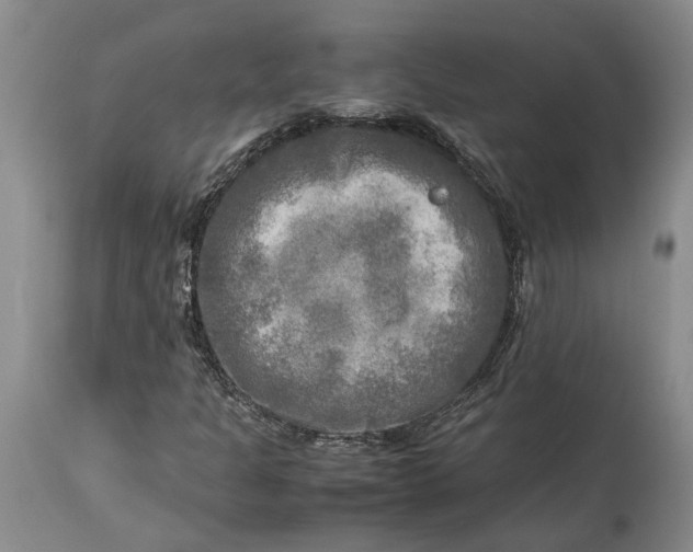 X0000114561301200911091209