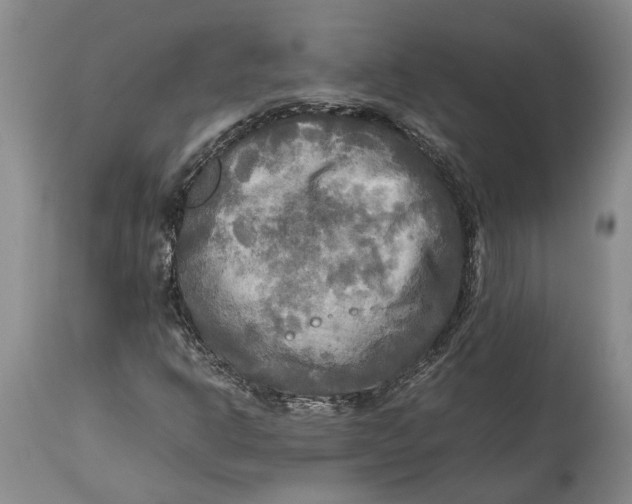 X0000114561302200911091209