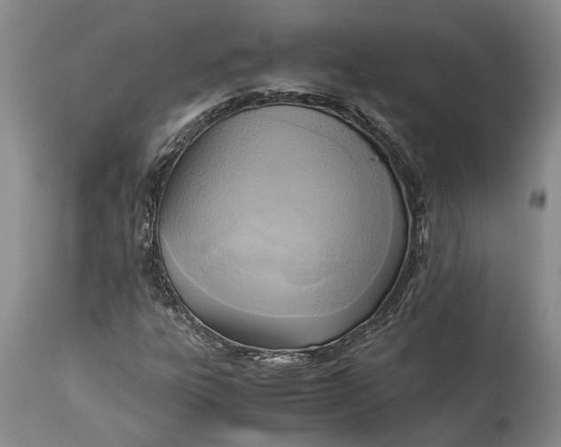 X0000114561303200911091209