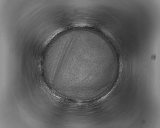 X0000114561305200911091209
