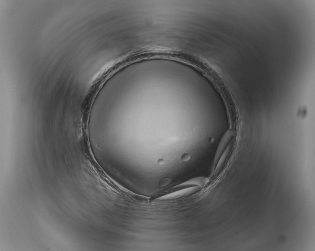 X0000114561306200911091209