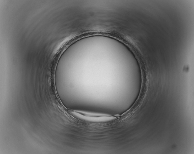 X0000114561307200911091209