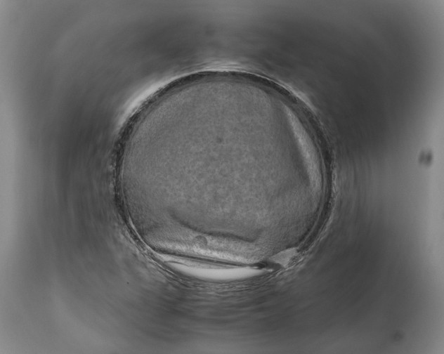 X0000114561311200911091209