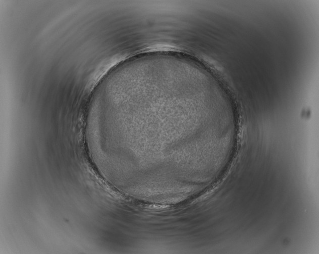 X0000114561313200911091209