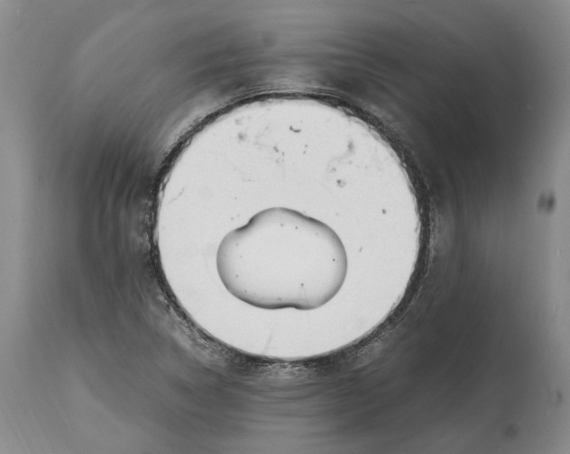 X0000114561314200911091209