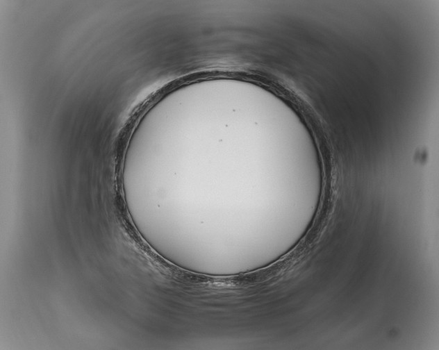 X0000114561315200911091209