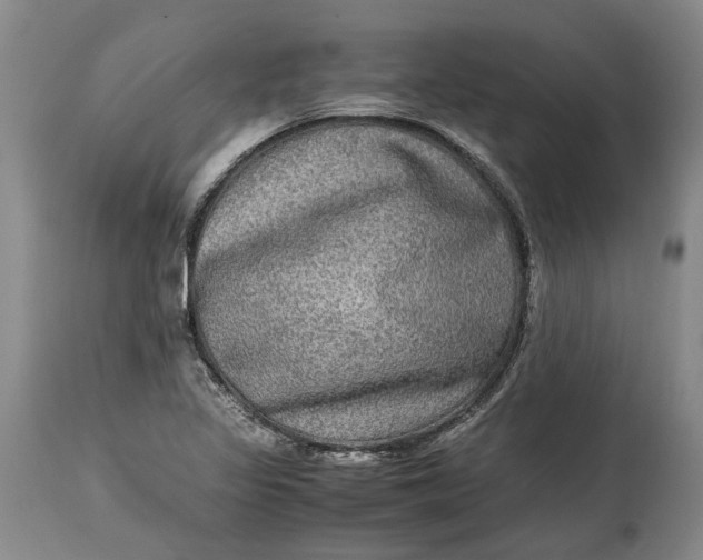 X0000114561317200911091209