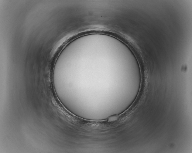 X0000114561318200911091209