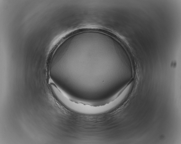 X0000114561319200911091209