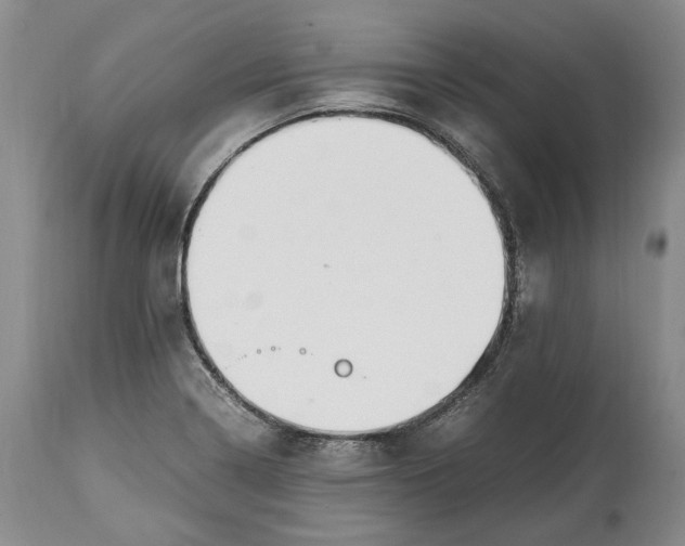X0000114561322200911091209