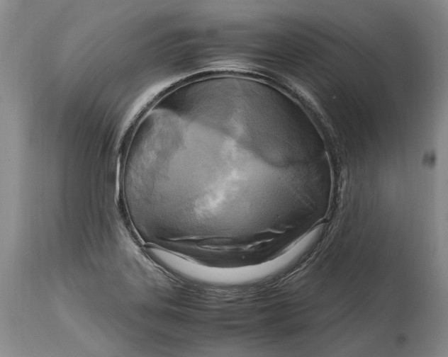 X0000114561323200911091209