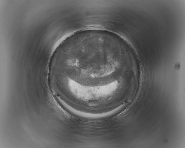 X0000114561325200911091209