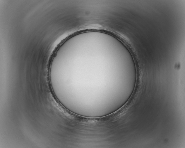 X0000114561326200911091209