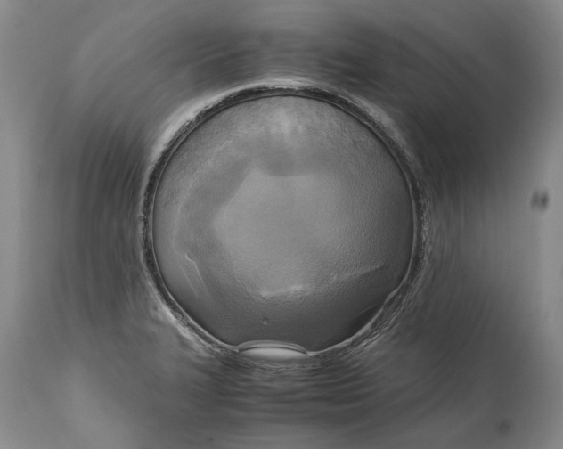 X0000114561327200911091210