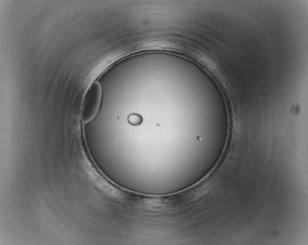 X0000114561330200911091210