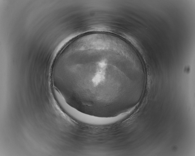 X0000114561331200911091210