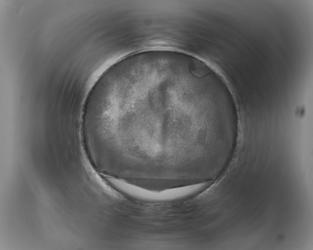 X0000114561333200911091210