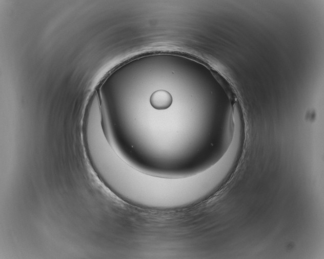 X0000114561334200911091210