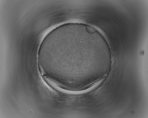 X0000114561335200911091210