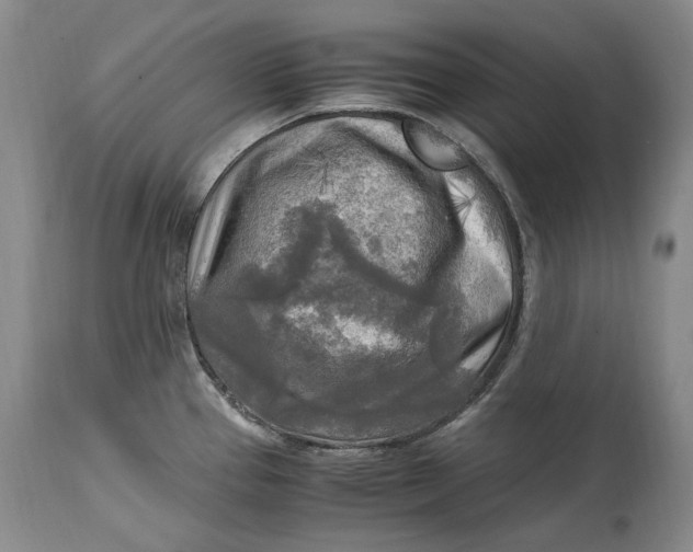 X0000114561337200911091210