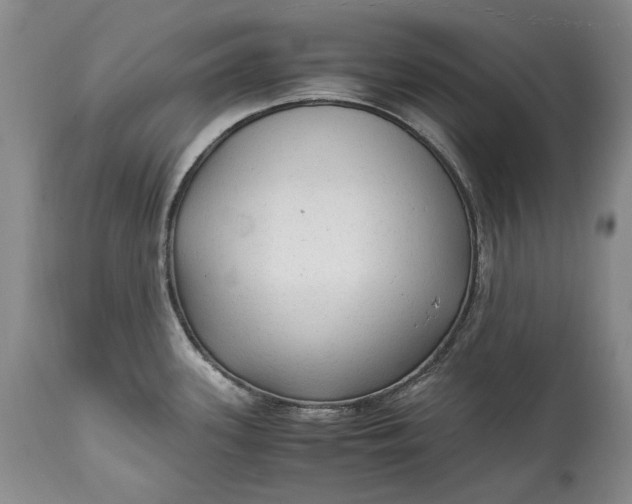 X0000114561339200911091210