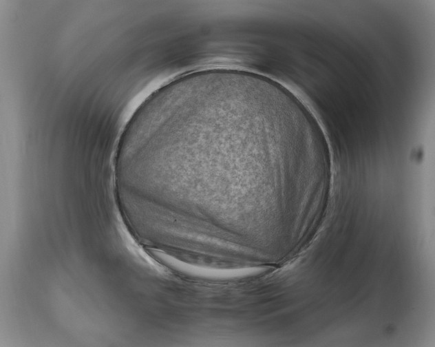 X0000114561341200911091210