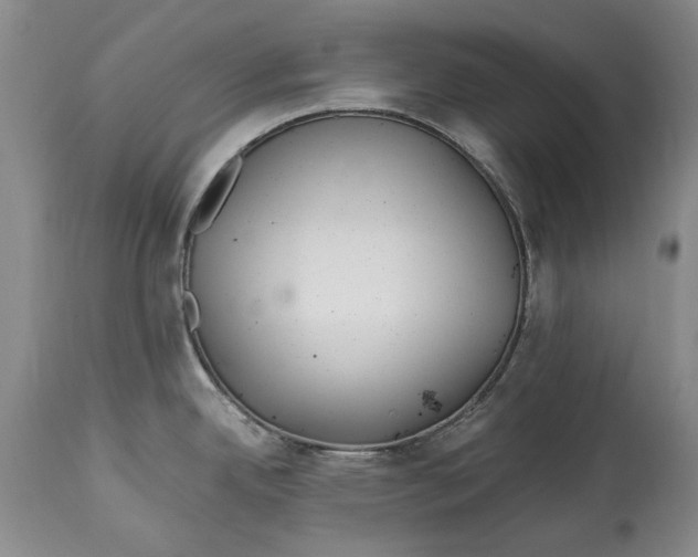 X0000114561342200911091210
