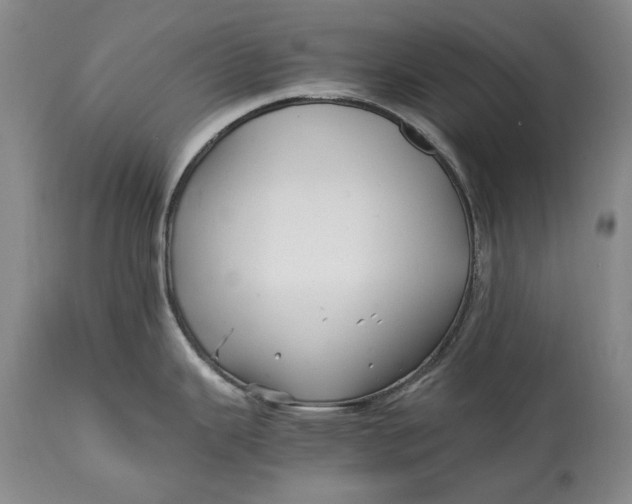 X0000114561343200911091210