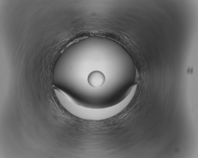 X0000114561345200911091209