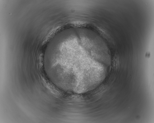 X0000114561346200911091209