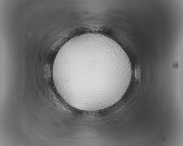 X0000114561347200911091209