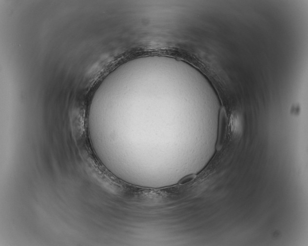X0000114561348200911091209