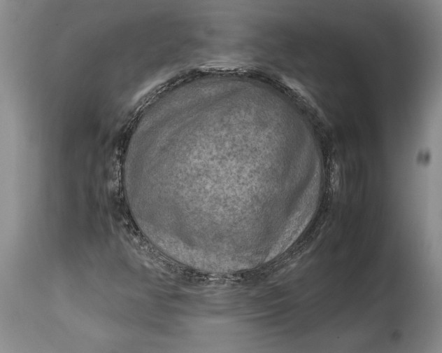 X0000114561350200911091209