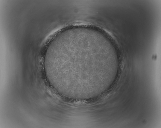 X0000114561351200911091209