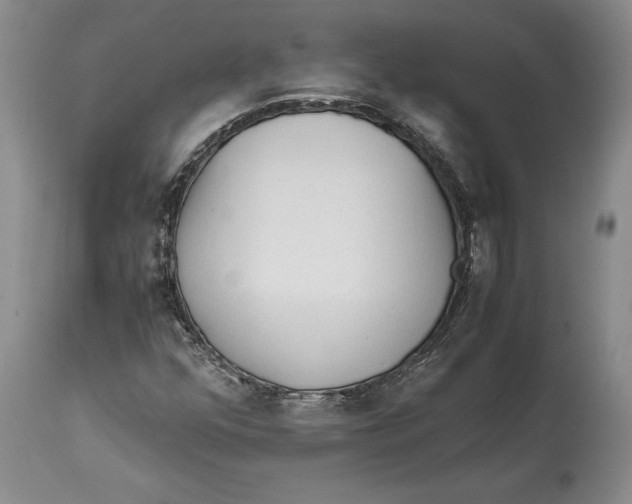 X0000114561352200911091209
