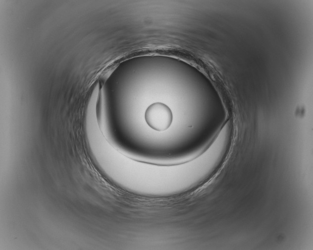 X0000114561353200911091209