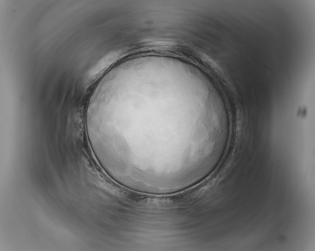 X0000114561354200911091209